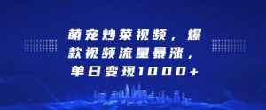 萌宠炒菜视频，爆款视频流量暴涨，单日变现1k-最全资源库