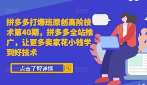 拼多多打爆班原创高阶技术第40期，拼多多全站推广，让更多卖家花小钱学到好技术-最全资源库