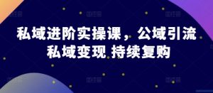 私域进阶实操课，公域引流 私域变现 持续复购-最全资源库