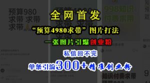 小红书“预算4980带我飞”图片打法,一张图片引爆创业粉,私信回不完,单条引流300+精准创业粉-最全资源库