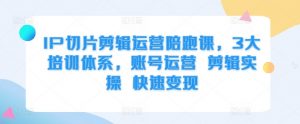 IP切片剪辑运营陪跑课，3大培训体系，账号运营 剪辑实操 快速变现-最全资源库