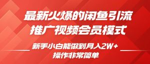 闲鱼引流推广影视会员,0成本就可以操作,新手小白月入过W+【揭秘】-最全资源库
