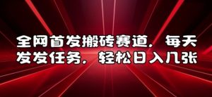 全网首发搬砖赛道，每天发发任务，轻松日入几张【揭秘】-最全资源库