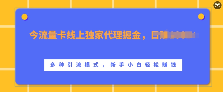 流量卡线上独家代理掘金,日入1k+ ,多种引流模式,新手小白轻松上手【揭秘】-最全资源库