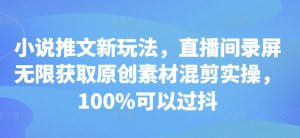 小说推文新玩法，直播间录屏无限获取原创素材混剪实操，100%可以过抖-最全资源库