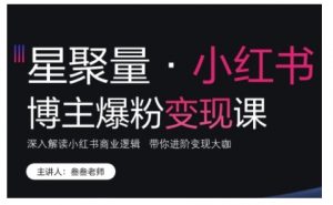 小红书博主爆粉变现课，深入解读小红书商业逻辑，带你进阶变现大咖-最全资源库