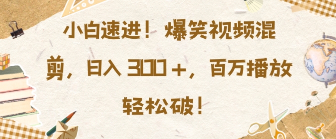 小白速进，爆笑视频混剪，日入3张，百万播放轻松破【揭秘】-最全资源库