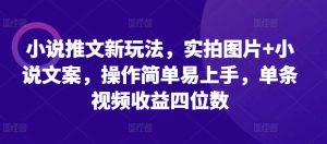 小说推文新玩法，实拍图片+小说文案，操作简单易上手，单条视频收益四位数-最全资源库