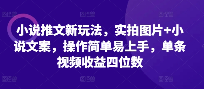 小说推文新玩法，实拍图片+小说文案，操作简单易上手，单条视频收益四位数-最全资源库