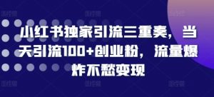 小红书独家引流三重奏，当天引流100+创业粉，流量爆炸不愁变现【揭秘】-最全资源库