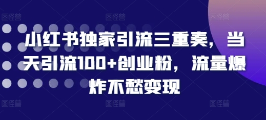 小红书独家引流三重奏,当天引流100+创业粉,流量爆炸不愁变现【揭秘】-最全资源库