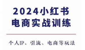 2024小红书电商3.0实战训练，包含个人IP、引流、电商等玩法-最全资源库