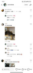 小红书私人定制图项目，附赠一单4W渠道【揭秘】-最全资源库