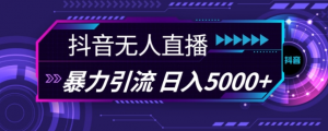 抖音快手视频号全平台通用无人直播引流法，利用图片模板和语音话术，暴力日引流100+创业粉【揭秘】-最全资源库