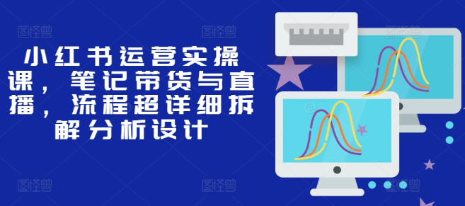 小红书运营实操课,笔记带货与直播,流程超详细拆解分析设计-最全资源库