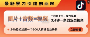 抖音最新暴力引流创业粉,3分钟一条创业类视频,24h轻松加爆一个500人精准创业粉群【揭秘】-最全资源库
