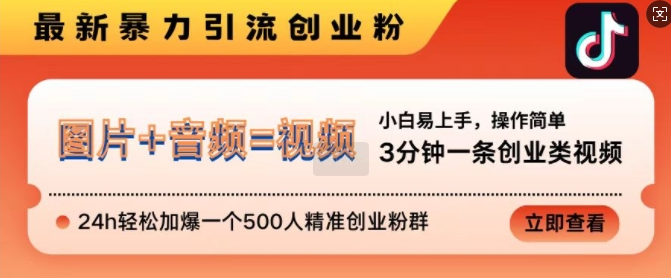 抖音最新暴力引流创业粉,3分钟一条创业类视频,24h轻松加爆一个500人精准创业粉群【揭秘】-最全资源库