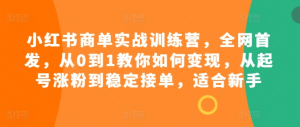 小红书商单实战训练营，全网首发，从0到1教你如何变现，从起号涨粉到稳定接单，适合新手-最全资源库