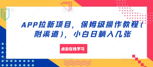 APP拉新项目，保姆级操作教程(附渠道)，小白日躺入几张【揭秘】-最全资源库