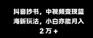 抖音抄书，中视频变现蓝海新玩法，小白亦能月入 过W【揭秘】-最全资源库
