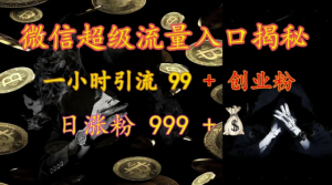 微信超级流量入口揭秘：一小时引流 99 + 创业粉，日涨粉 999 +-最全资源库