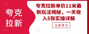 夸克拉新单价11米最新玩法揭秘，一天收入5张实操详解-最全资源库