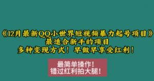 12月最新QQ小世界短视频暴力起号项目,最适合新手的项目,多种变现方式-最全资源库