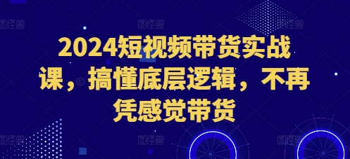 2024短视频带货实战课,搞懂底层逻辑,不再凭感觉带货-最全资源库