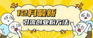 12月最新引流创业粉方法，方法非常简单，适用于多平台-最全资源库