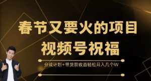 春节又要火的项目视频号祝福,分成计划+带货双收益,轻松月入几个W【揭秘】-最全资源库