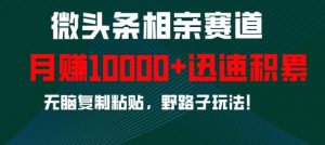 微头条相亲赛道，迅速积累，无脑复制粘贴，野路子玩法，月入1w-最全资源库