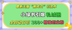 最新无脑“搬砖式”引流术,小绿书引爆私域圈,全自动日引300+精准创业粉【揭秘】-最全资源库