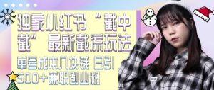 最新小红书截流玩法 独家截中截 单号成本几块钱 日引500+CY粉JZ粉-最全资源库