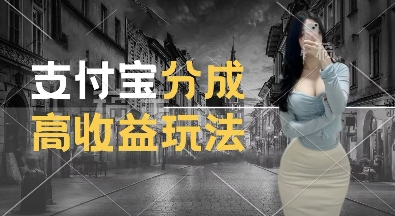 支付宝分成计划新玩法，利用交通事故视频，赚收益，轻松月入过W，操作简单【揭秘】-最全资源库