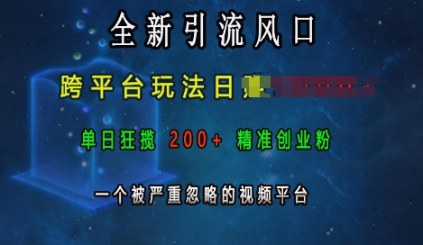 全新引流风口，跨平台玩法日入上k，单日狂揽200+精准创业粉，一个被严重忽略的视频平台-最全资源库