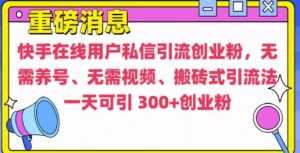 快手最新引流创业粉方法,无需养号、无需视频、搬砖式引流法【揭秘】-最全资源库
