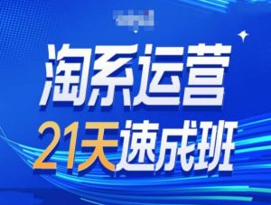 淘系运营21天速成班第34期-搜索最新玩法和25年搜索趋势-最全资源库