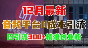 12月最新:音频平台0成本引流,日引流300+精准创业粉-最全资源库