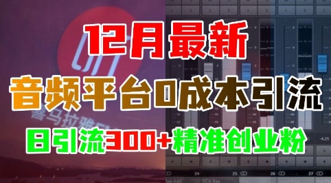 12月最新:音频平台0成本引流,日引流300+精准创业粉-最全资源库