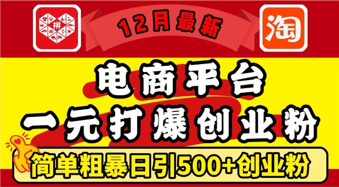 12月最新:电商平台1元打爆创业粉,简单粗暴日引500+精准创业粉,轻松月入过W【揭秘】-最全资源库
