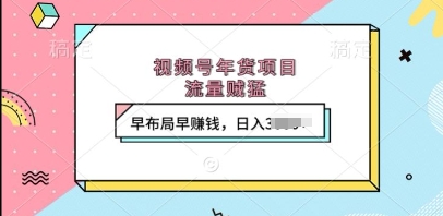 视频号年货项目，流量贼猛，早布局早挣钱，日入上k【揭秘】-最全资源库