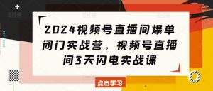 2024视频号直播间爆单闭门实战营,视频号直播间3天闪电实战课-最全资源库