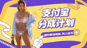 利用海外靶场射击视频,挣支付宝分成收益,轻松月入过W【揭秘】-最全资源库