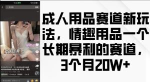 成人用品赛道新玩法，情趣用品一个长期暴利的赛道，3个月收益20个【揭秘】-最全资源库