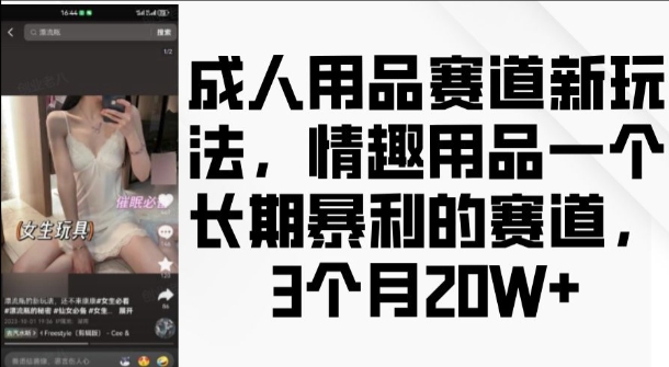 成人用品赛道新玩法，情趣用品一个长期暴利的赛道，3个月收益20个【揭秘】-最全资源库