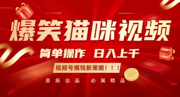 爆笑猫咪视频:简单操作,日入过K,视频号搞钱新策略【揭秘】-最全资源库