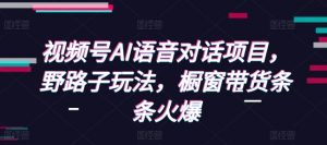 视频号AI语音对话项目，野路子玩法，橱窗带货条条火爆-最全资源库