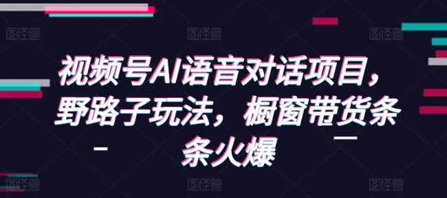 视频号AI语音对话项目，野路子玩法，橱窗带货条条火爆-最全资源库