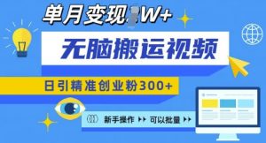 无脑搬运视频号可批量复制，新手即可操作，日引精准创业粉300+，月变现过W 【揭秘】-最全资源库