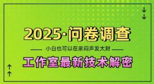 2025问卷调查最新工作室技术解密:一个人在家也可以闷声发大财,小白一天2张,可矩阵放大【揭秘】-最全资源库